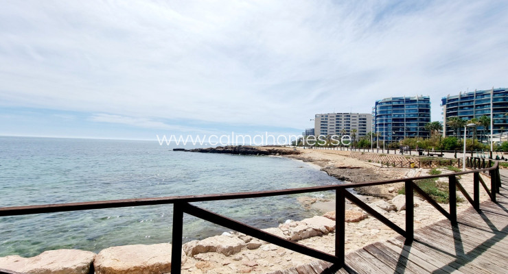Apartment / flat - Sale - Torrevieja Centro - Torrevieja