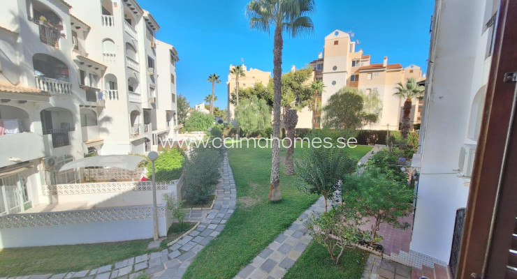 Apartment - Long time Rental - Torrevieja - Calas blanca