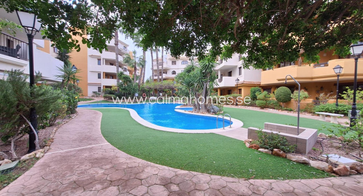 Apartment - Long time Rental - Torrevieja - Punta Prima