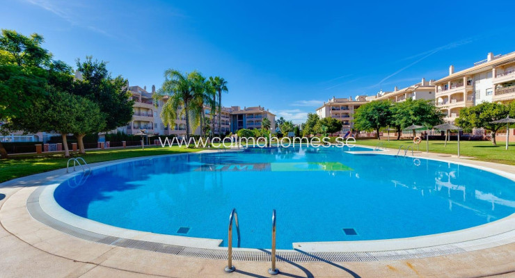 Apartment - Resale - Orihuela Costa - Playa Flamenca