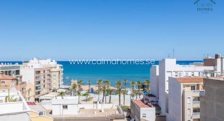 Apartment - Sale - La Mata - La Mata