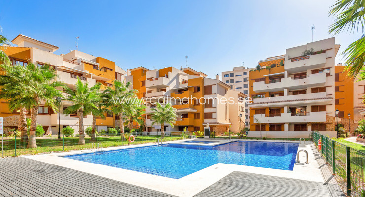 Apartment - Venta - Punta Prima - La Recoleta