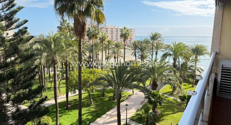 Apartment - Venta - Torrevieja - Los Frutales