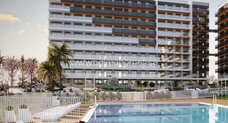 Apartment - Venta - Torrevieja - Punta Prima