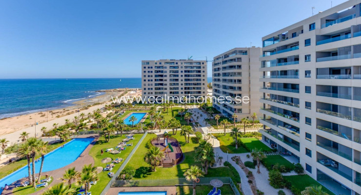 Apartment - Venta - Torrevieja - Punta Prima