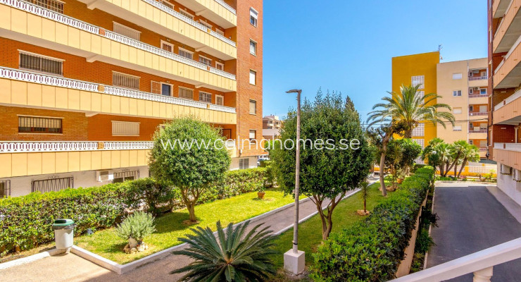 Apartment - Venta - Torrevieja - Punta Prima