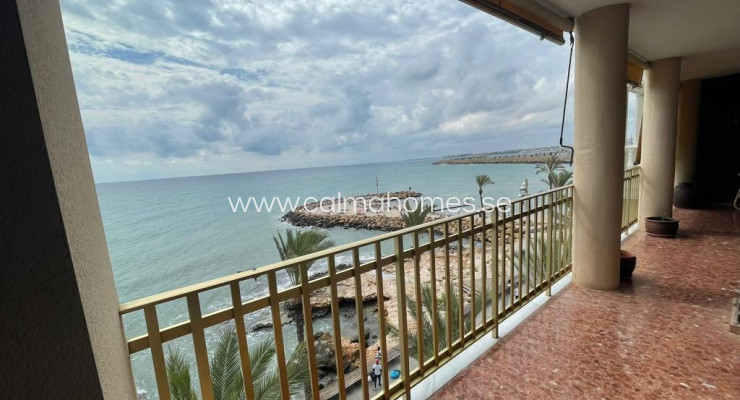 Apartment - Venta - Torrevieja - Torrevieja