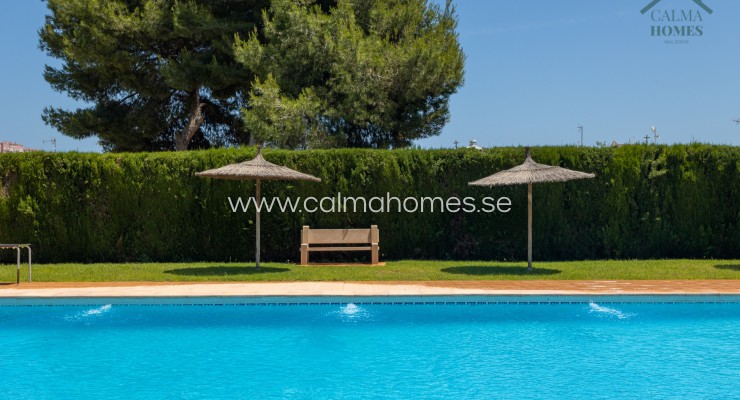 Bungalow - Venta - Torrevieja - Nueva Torrevieja
