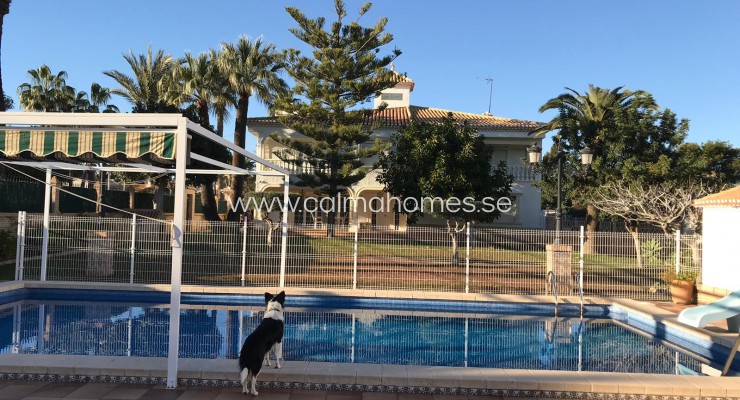 Detached house - Sale - Cabo Roig - Cabo Roig