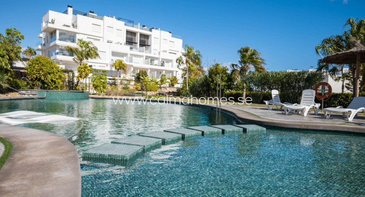 Loft - Venta - Torrevieja - Los Altos
