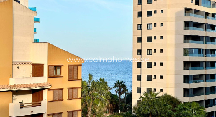 Penthouse - Sale - Torrevieja - Punta Prima