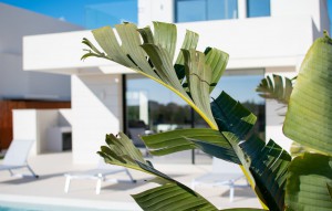 Venta - Villa -
Los Montesinos