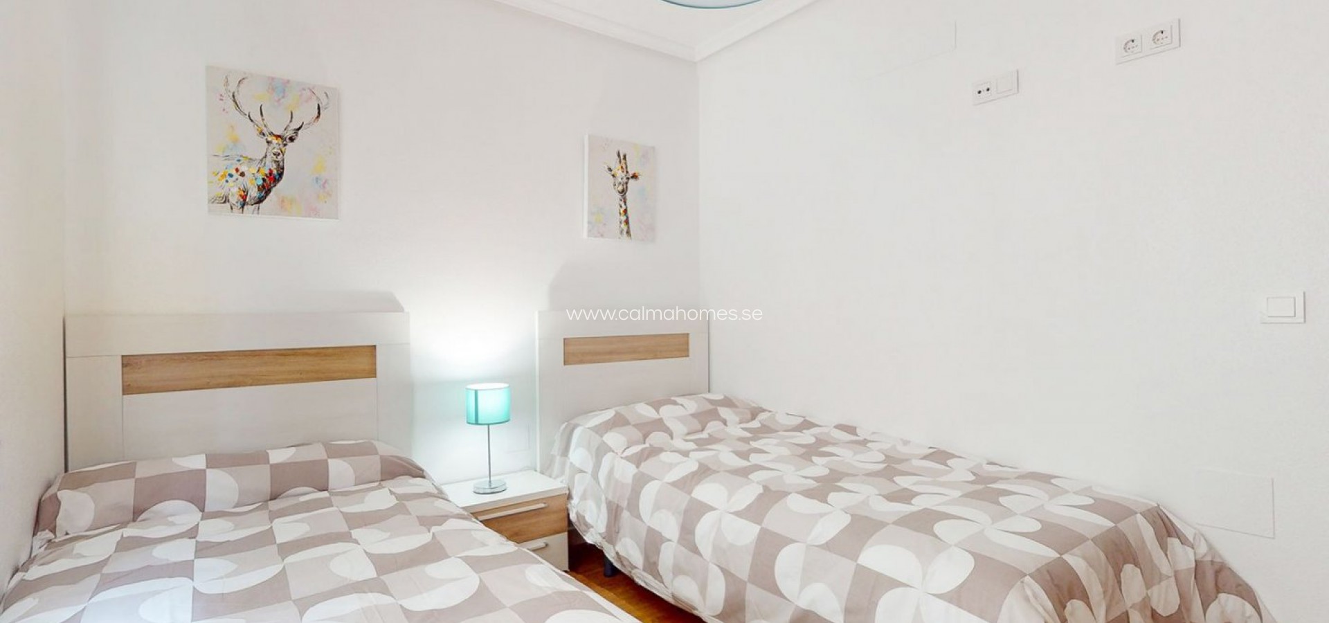 Sale - Duplex -
San Miguel de Salinas - Los Communicaciones