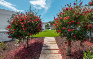 Sale - Villa -
San Miguel de Salinas - Las Colinas Golf