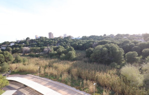 Sale - Apartment -
Orihuela Costa - Campoamor