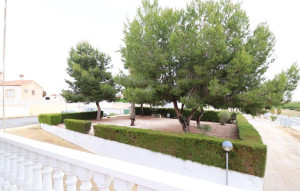 Sale - Hostel -
San Miguel de Salinas - LO RUFETE