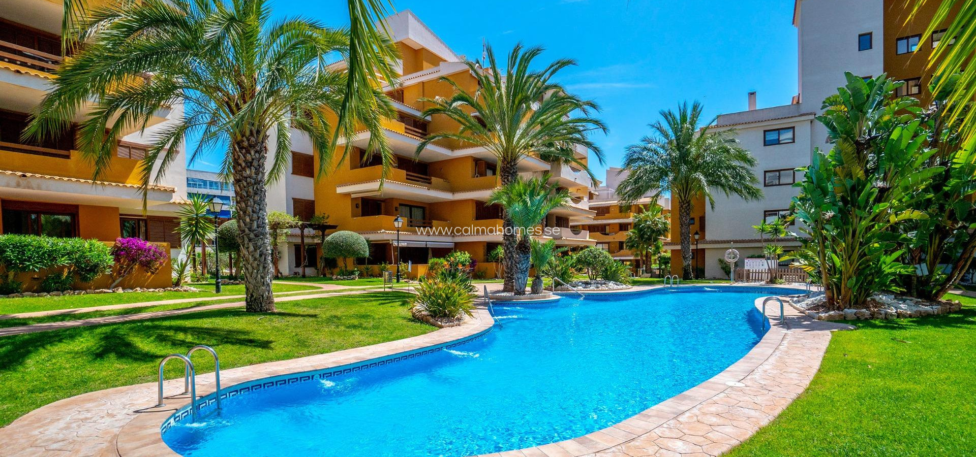 Sale - Apartment -
Torrevieja - Punta Prima