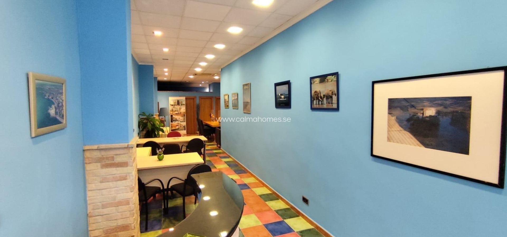 Venta - Business -
Torrevieja