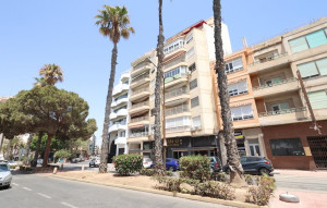 Venta - Apartment -
Torrevieja