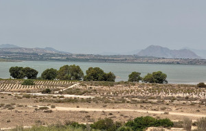 Sale - Penthouse -
Torrevieja - La Mata