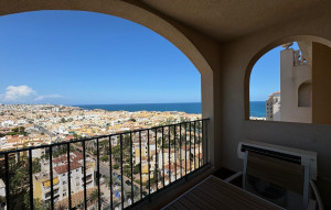Long time Rental - Apartment -
Torrevieja - Los Frutales