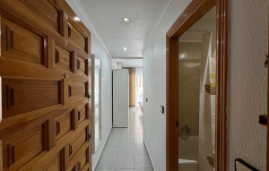 Resale - Studio -
Torrevieja - Playa de los Locos