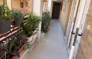 Sale - Apartment -
Torrevieja - El molino