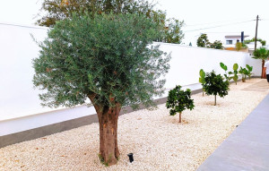 Nueva construcción  - Villa -
Ciudad Quesada