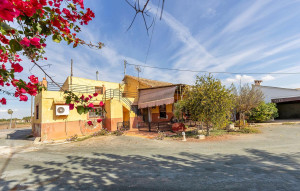 Sale - Town house -
Daya Vieja - Huerta