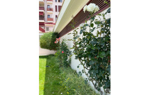 Sale - Apartment -
Villanueva del Rio Segura - Urbanización plan parcial la morra