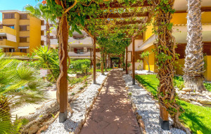 Resale - Apartment -
Torrevieja - Punta Prima