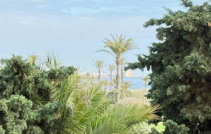 Sale - Ground Floor -
Torrevieja - Punta Prima