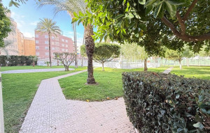 Sale - Apartment -
Torrevieja - Los Frutales