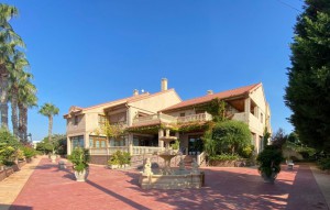 Sale - Business -
Orihuela Costa - Lomas de Cabo Roig